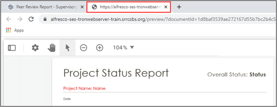 The read only copy of the report opens in a new browser tab for preview