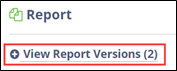 View Report Versions